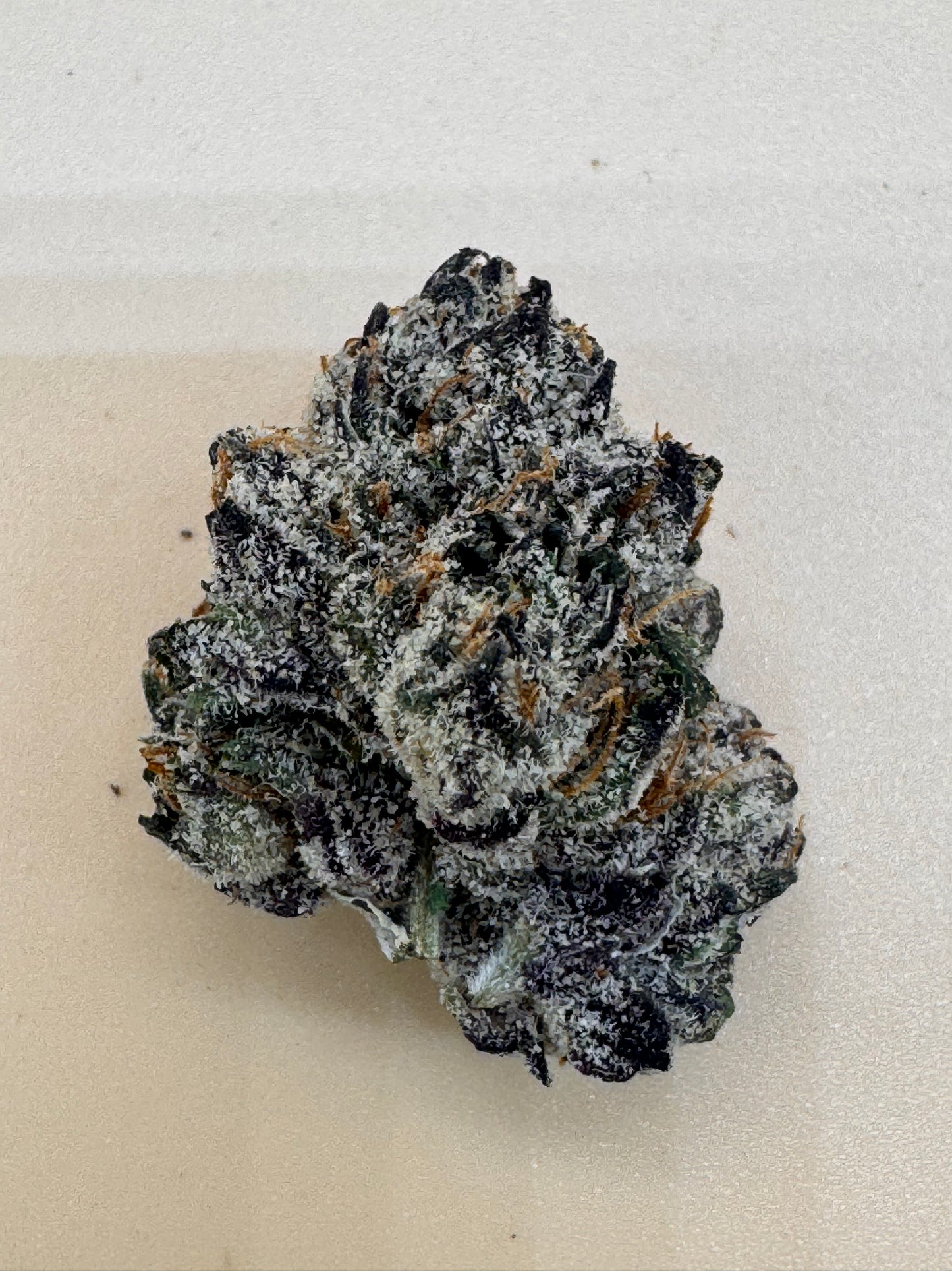 Sugarwolf Runtz Thca hemp flower 3.5g