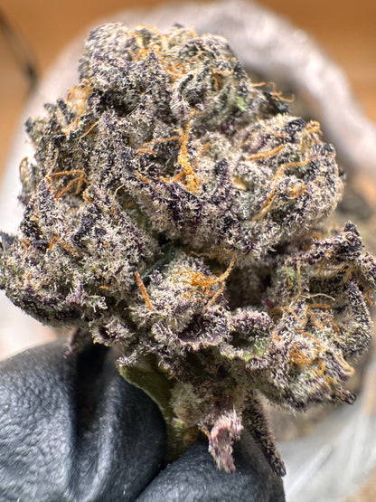 Sugarwolf Runtz Thca hemp flower 3.5g